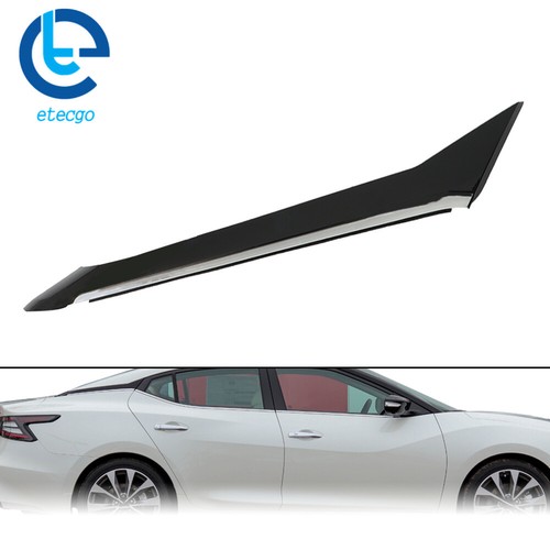 Passenger side rear pillar - side,